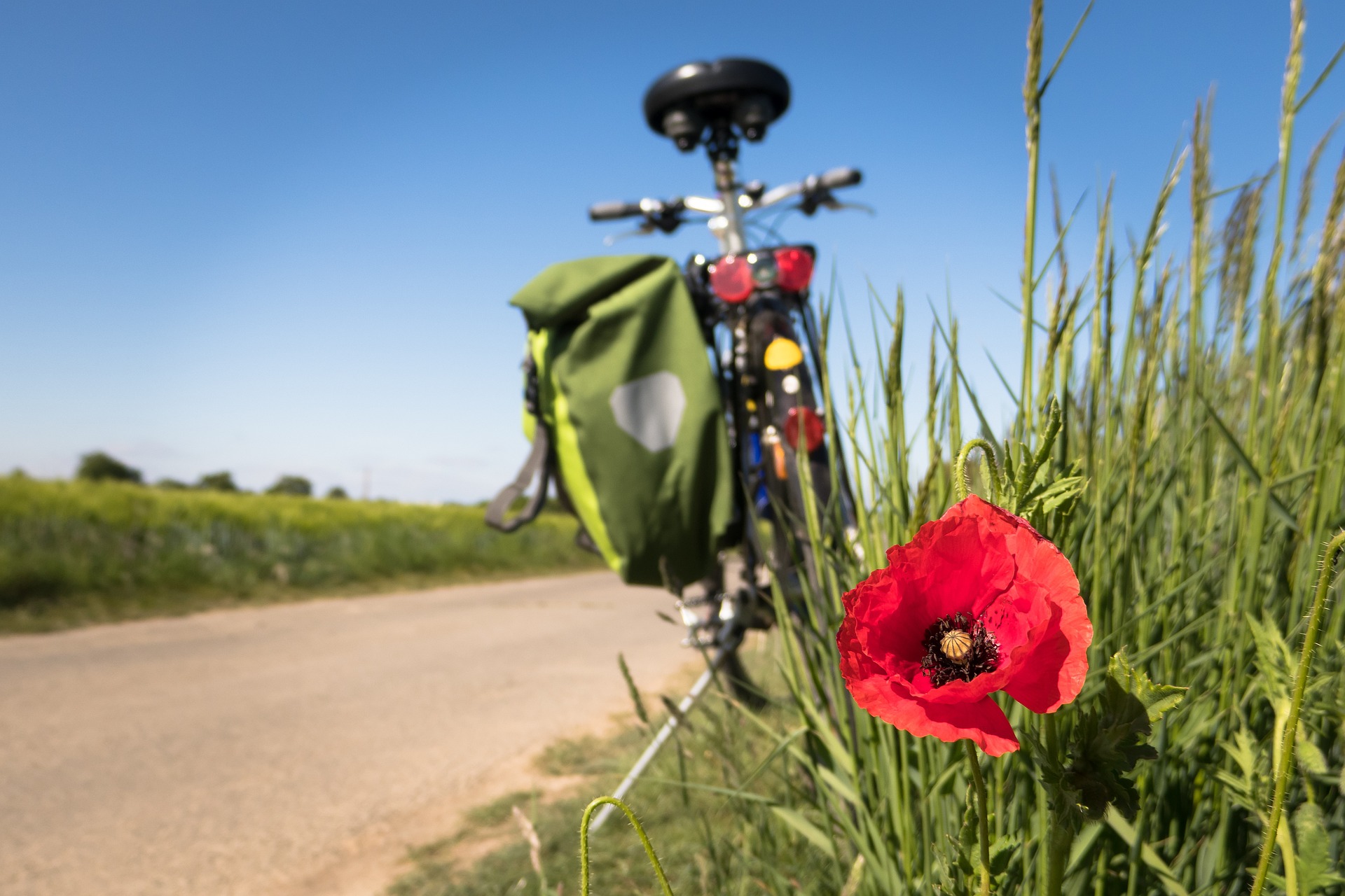 Fahrrad mit Blume